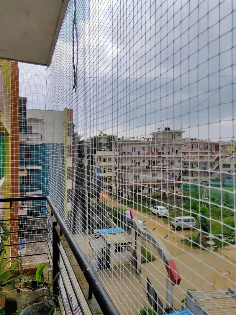 Bird net installation on building